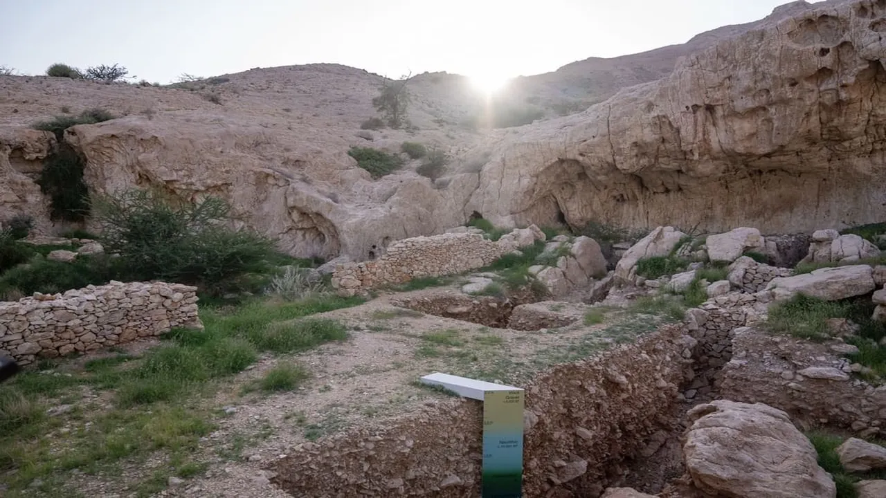 موقع الفاية للتراث العالمي يعيد صياغة مفهوم المشهد الثقافي بنموذج غير تقليدي